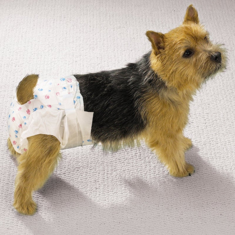 ClearQuest Disposable Doggy Diapers, Super Absorbent Leak-Proof Pet Diapers - Image 3